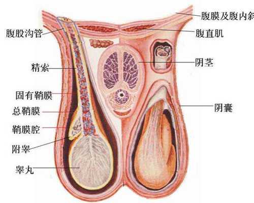香港验血机构哪一家_香港验血多少时间可以_不贵，只要2600是真的吗!