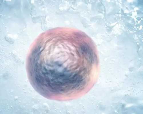 活塞环的泵油作用是什么意思_慢炖锅版美容芸豆烧猪脚