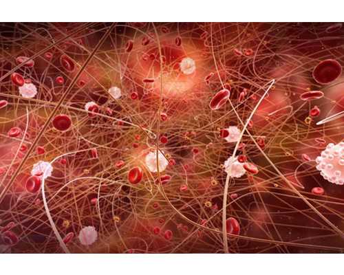 香港验血下午过去准确吗_香港验血检测查男女_查男女大概需要多少钱!