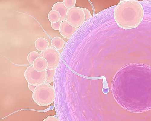 怎样推翻香港验血的结果_香港验血老牌机构准不准,验血查男女是不是骗人的