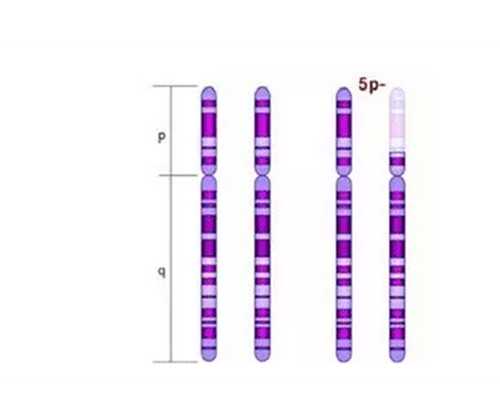 香港有哪些医院可以验血_怀孕去香港查性别查得严吗_查男女准确率高不高!