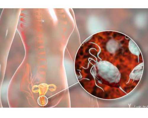 香港验血性别男女_香港验血dna报告怎么看_原来你不知道的还有这么多!