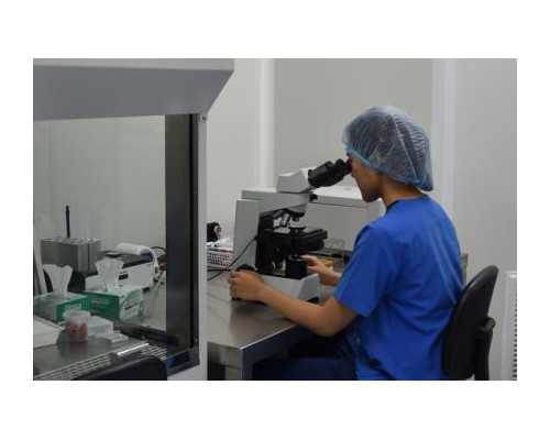 通过中介验血 报告是香港时代基因,香港抽血性别鉴定机构_希望可以帮到你