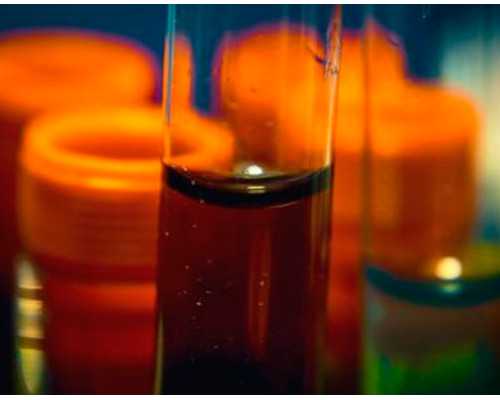 香港时代官方网验血_怀孕多久能测出来男孩女孩_真的准确吗