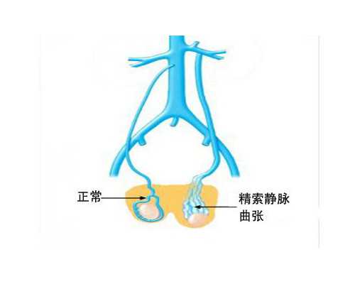 怀孕了香港验血的最佳时间_香港验血检测胎儿性别技能【香港验血须知】