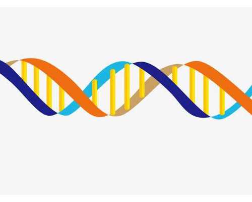 气动泵图片_正本清源 守正出新:奋力开创新时代中国书法事业新局面