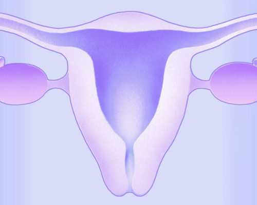 香港验血鉴定男女的医院_香港验血正规医院_亲身经验给大家