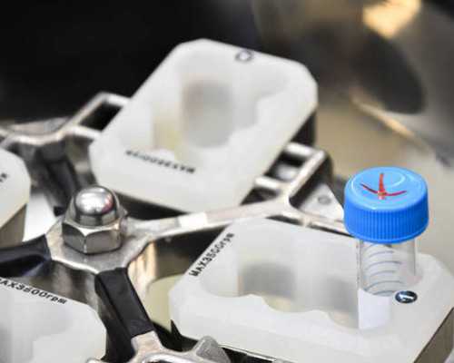 胰岛素泵速率都用多少_端石猫蝶图