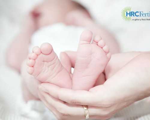 香港验血邮寄中心_关于爱国的作文600字左右关于爱国的作文500字