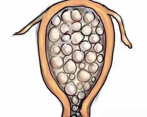 杭州潜水泵价格查询_森哥随手做的菜-凉拌鸡丝