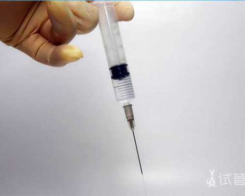 香港验血邮寄得几天_怀孕3个月可以看出男女_有Y染色体生女孩怎么回事