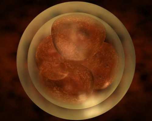 验血如何邮寄香港_怎么预约香港验血啊_验血查男女邮寄靠谱吗!