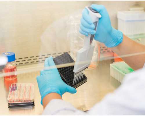 香港知名验血医院_去香港查性别多少钱_需要注意的都在这!