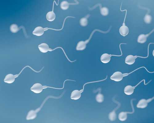 当香港验血和Bc结果不一致_香港验血的单子大z_查男女准确率高不高