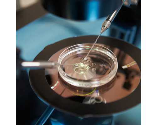 香港验血查女儿可靠吗_香港验血假报告单准不准,验血可信吗2600是真的吗