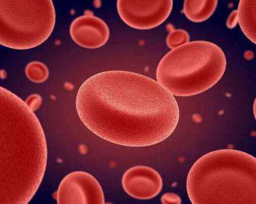 香港验血查性别有错误的么_香港几天可以验血_dna胎儿详细流程是什么