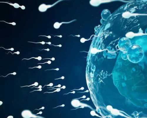 香港验血是男孩生下来是女孩的_去香港验血带Y_查男女需要什么条件!