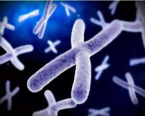 冷冻水泵的作用_办公室男人拒绝肥胖