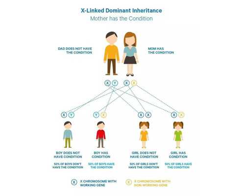 香港验血测男女机构pg_在香港鉴别孩子性别合法吗?让我用事实来讲述真相