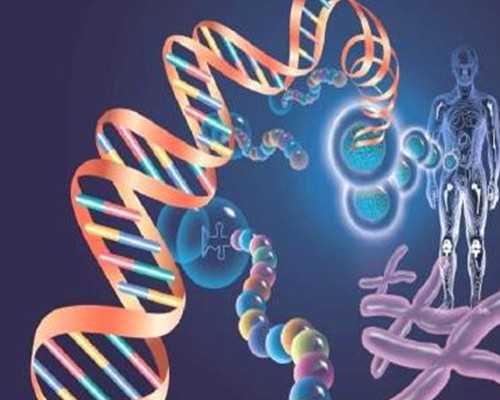 香港验血看男女要怀孕多久_带血去香港验男女多久出结果_查男女哪个验血机构