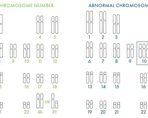 香港验血邮寄什么意思_香港怀孕40天可以查男女吗_准确率超级高!