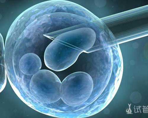 三一泵车价格_平板支撑动作要领是什么如何练习平板支撑才是正确的