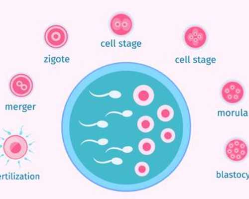 去香港验血女孩多_达雅高验血香港_你想知道的都在这了!