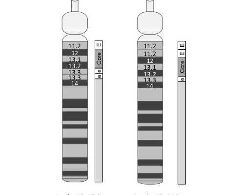 泵什么牌子好_六行圈圈为什么能拍出天价