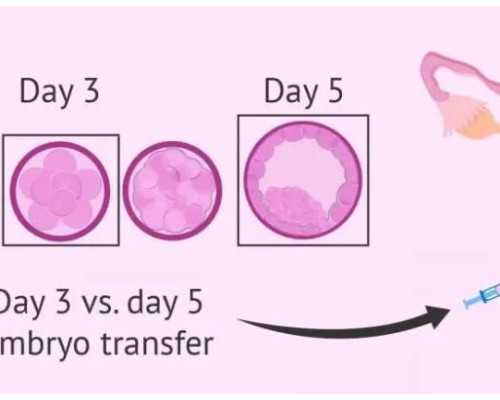 南方泵业潜污泵_跳跳木偶舞快乐又减肥