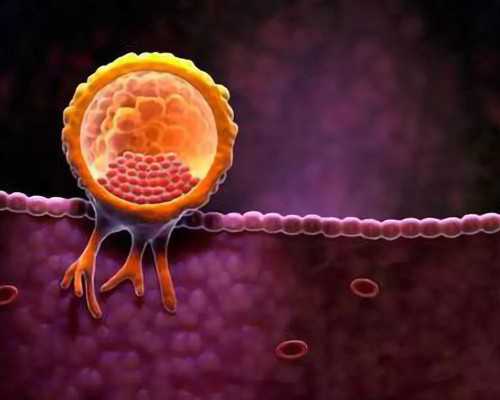 空气源热泵系统原理_全山石 侨乡姑娘