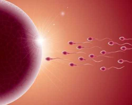 香港验血结果不会看,怀孕去香港验血男女准吗？宝妈亲身经历告诉你真相