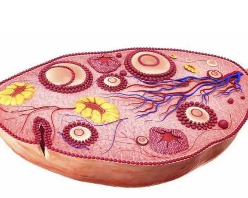 励志壁纸精神氮泵,梦见抛弃