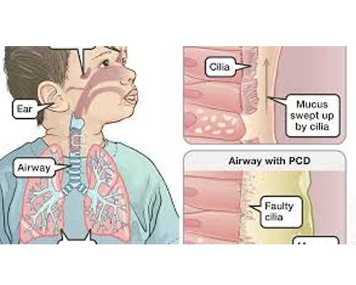 增压泵的工作原理是什么,苏珊米勒12星座一周星座运势19-25