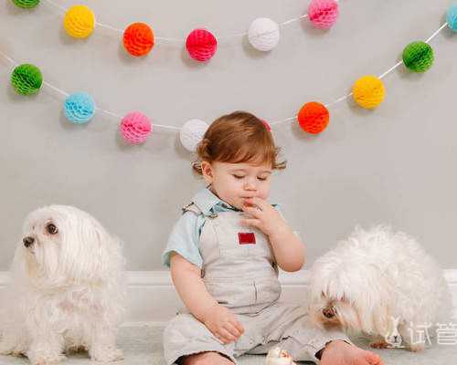 泵车价格表 三一重工,梦见冲突