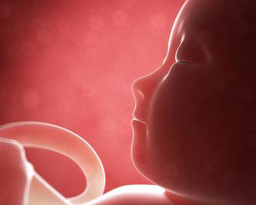 香港验血的血能保存几天,备孕一个月，早早孕试纸秒红