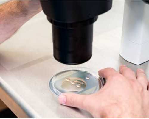 泵车招聘,属龙白羊座和属龙双子座姻缘指数解析在一起合适吗