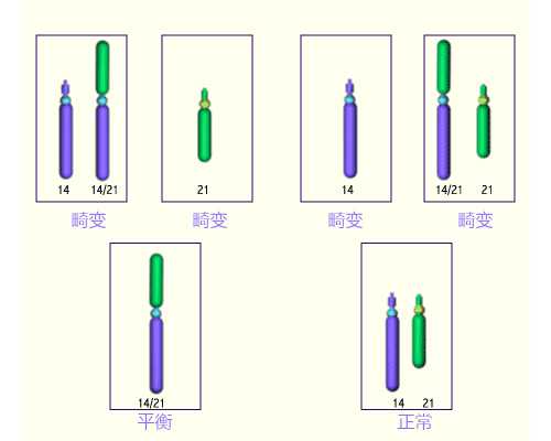 孕妇香港验血报告单怎么看,备孕期间能吃辣吗