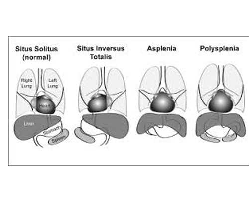 香港佐嘉医务中心验血男女准吗,第三代试管婴儿过程中失败原因分析