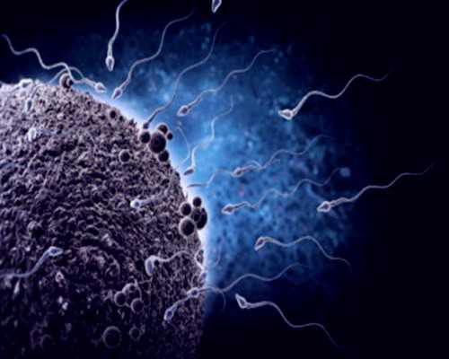 香港验血邮寄还是去比较好,35岁二胎备孕注意事项