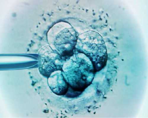 要多少周才能香港验血,做试管婴儿检查性激素六项有什么意义?