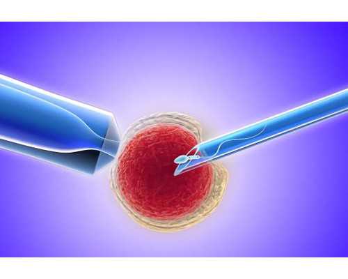 香港验血查男女知识,测准基础体温，备孕事半功倍