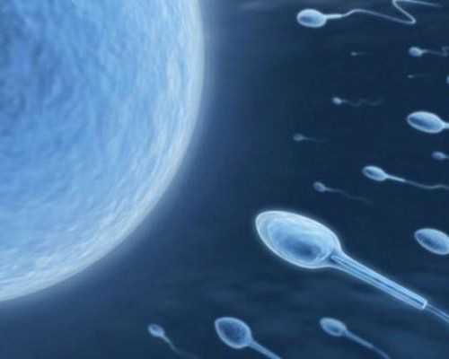 香港验血怎么邮寄血液咨询,【泰国第三代试管婴儿技术】子宫内注射HCG对婴儿