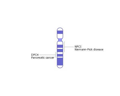 香港达雅高验血查询结果,用中医的方式讲解不孕不育的原因