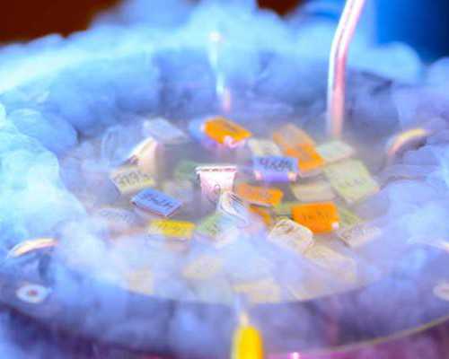 香港卓信验血是女儿,做试管婴儿之前女性的卵子质量不好怎么调理？