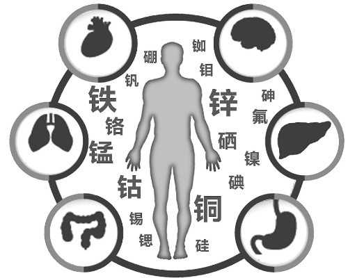 泵送拼音怎么写,夏天祛湿喝什么茶