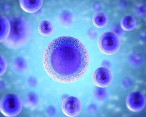 香港验血是男孩 B超也是男孩,AMH值0.98还能不能自然怀孕，选择做试管婴儿的成