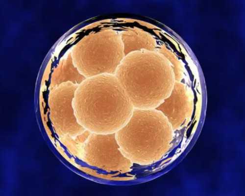 水泵过载原因,梦见亲人生病是什么意思做梦梦到亲人生病好不好