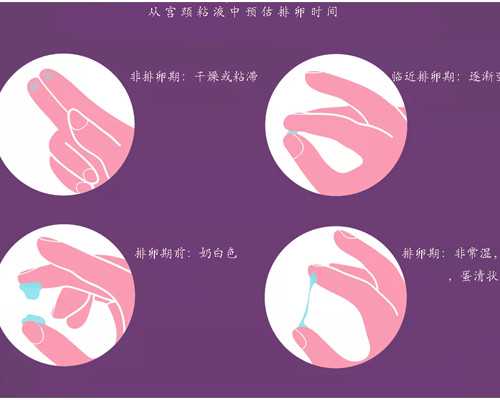 有香港验血不准,试管婴儿治疗时间具体需要多久?