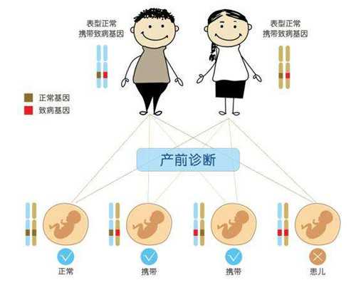 香港验血鉴定男女1500元靠谱吗,没有特意备孕，然后买了验孕棒秒红，顺产男宝