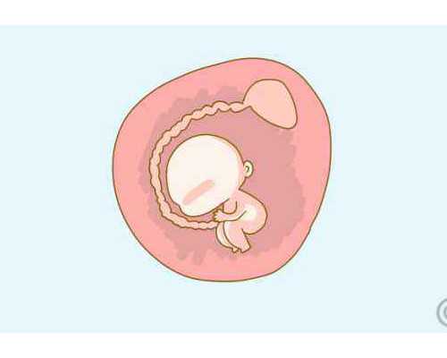中介送香港验血受法律保护吗,备孕3年没怀上只能试管了吗？考虑做试管婴儿的